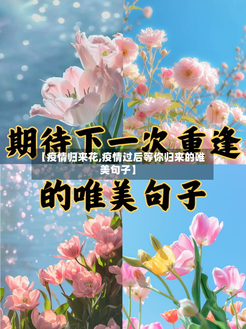 【疫情归来花,疫情过后等你归来的唯美句子】-第1张图片
