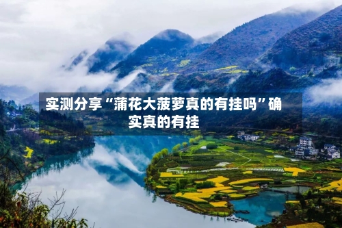 实测分享“蒲花大菠萝真的有挂吗”确实真的有挂-第1张图片