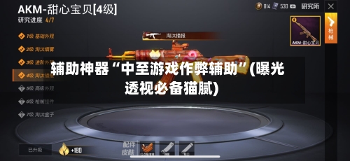 辅助神器“中至游戏作弊辅助”(曝光透视必备猫腻)-第1张图片