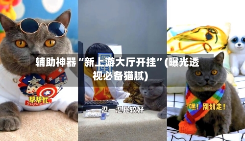 辅助神器“新上游大厅开挂	”(曝光透视必备猫腻)-第1张图片