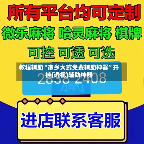 教程辅助“家乡大贰免费辅助神器”开挂(透视)辅助神器-第3张图片