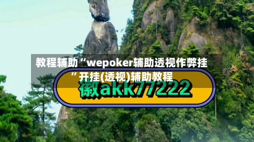 教程辅助“wepoker辅助透视作弊挂	”开挂(透视)辅助教程-第1张图片