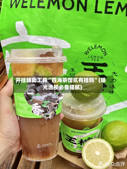 开挂辅助工具“四海茶馆贰有挂吗”(曝光透视必备猫腻)-第1张图片