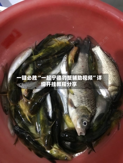 一键必胜“一起宁德钓蟹辅助视频”详细开挂教程分享