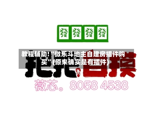 教程辅助!“微乐斗地主自建房插件购买”(原来确实是有插件)-第1张图片