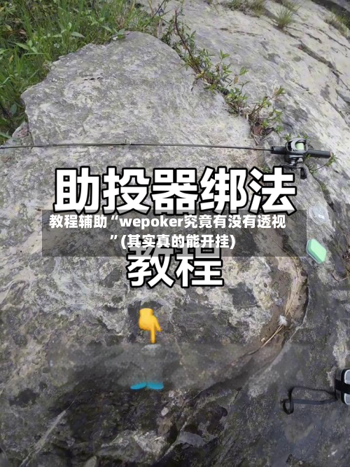 教程辅助“wepoker究竟有没有透视”(其实真的能开挂)-第3张图片