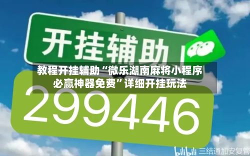 教程开挂辅助“微乐湖南麻将小程序必赢神器免费”详细开挂玩法-第1张图片