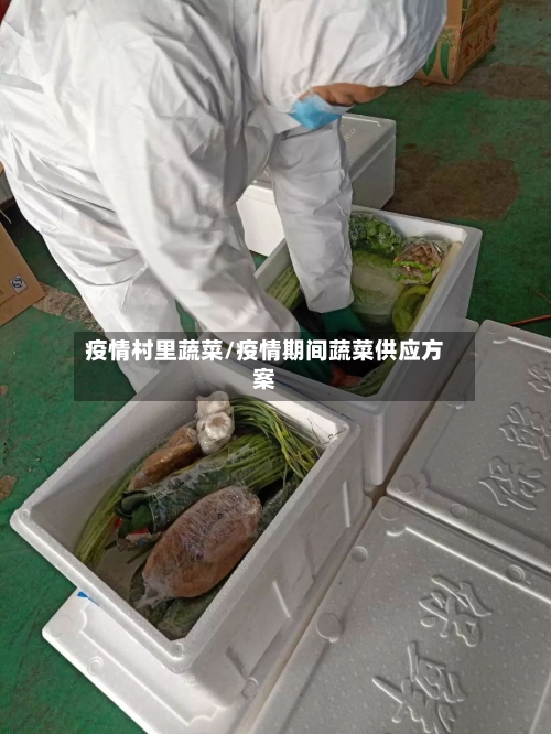 疫情村里蔬菜/疫情期间蔬菜供应方案-第1张图片