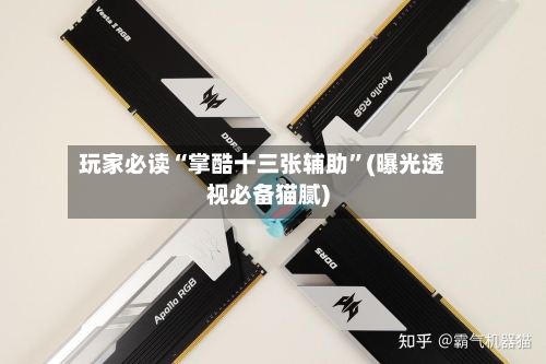 玩家必读“掌酷十三张辅助”(曝光透视必备猫腻)-第1张图片