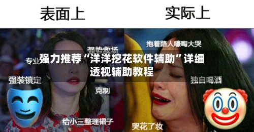 强力推荐“洋洋挖花软件辅助	”详细透视辅助教程-第1张图片
