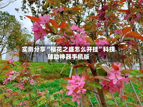 实测分享“樱花之盛怎么开挂”科技辅助神器手机版-第1张图片