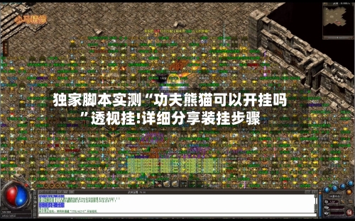 独家脚本实测“功夫熊猫可以开挂吗	”透视挂!详细分享装挂步骤-第1张图片