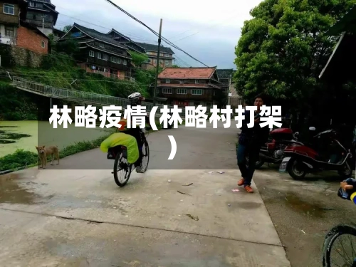 林略疫情(林略村打架)-第2张图片