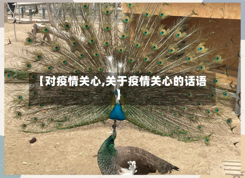 【对疫情关心,关于疫情关心的话语】-第2张图片