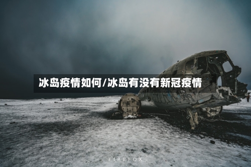 冰岛疫情如何/冰岛有没有新冠疫情-第1张图片