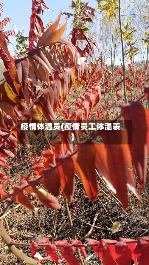 疫情体温员(疫情员工体温表)-第1张图片