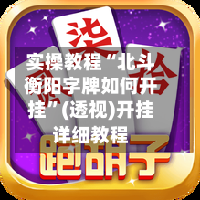 实操教程“北斗衡阳字牌如何开挂	”(透视)开挂详细教程-第1张图片