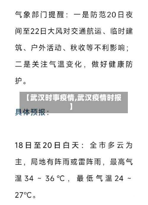 【武汉时事疫情,武汉疫情时报】-第3张图片