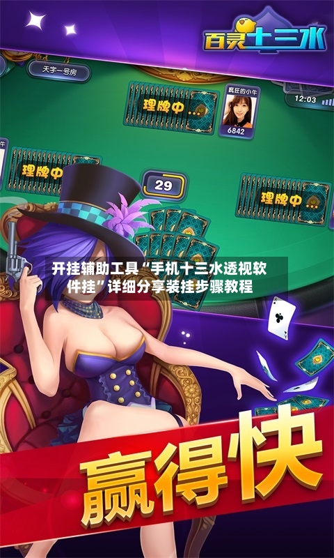 开挂辅助工具“手机十三水透视软件挂”详细分享装挂步骤教程-第2张图片