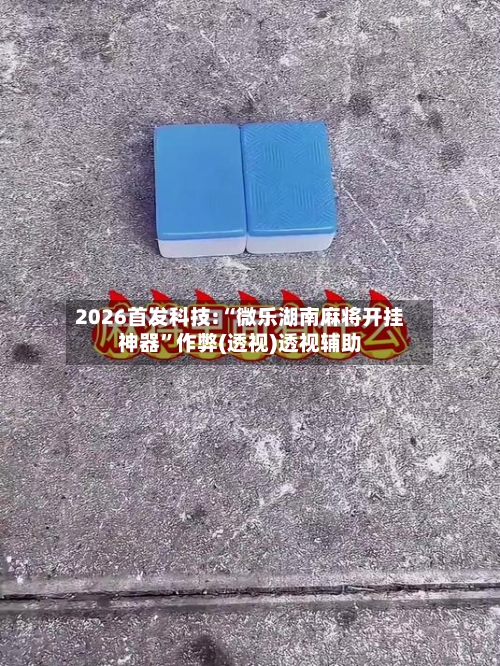 2026首发科技:“微乐湖南麻将开挂神器	”作弊(透视)透视辅助-第2张图片
