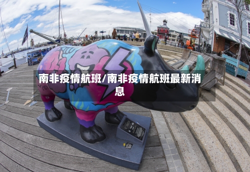 南非疫情航班/南非疫情航班最新消息-第1张图片