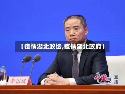 【疫情湖北政坛,疫情湖北政府】-第1张图片