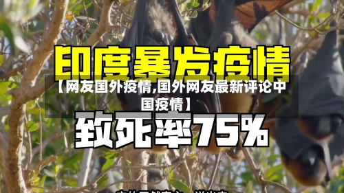 【网友国外疫情,国外网友最新评论中国疫情】-第1张图片