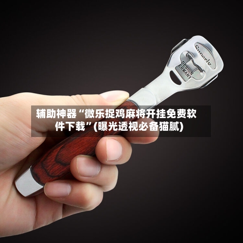 辅助神器“微乐捉鸡麻将开挂免费软件下载”(曝光透视必备猫腻)-第1张图片