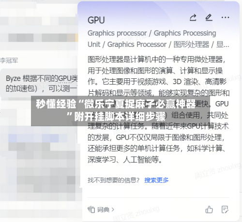 秒懂经验“微乐宁夏捉麻子必赢神器”附开挂脚本详细步骤-第2张图片
