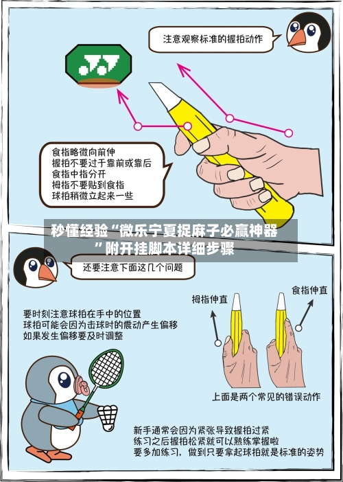 秒懂经验“微乐宁夏捉麻子必赢神器	”附开挂脚本详细步骤-第3张图片