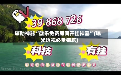 辅助神器“微乐免费房间开挂神器	”(曝光透视必备猫腻)-第1张图片