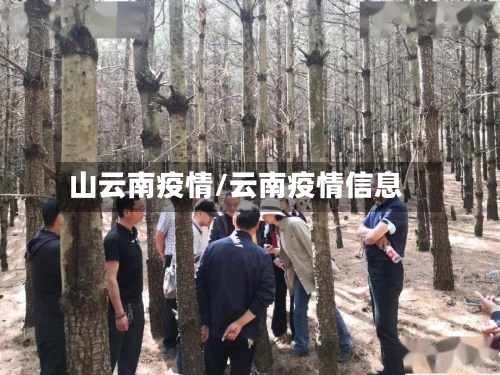 山云南疫情/云南疫情信息-第1张图片