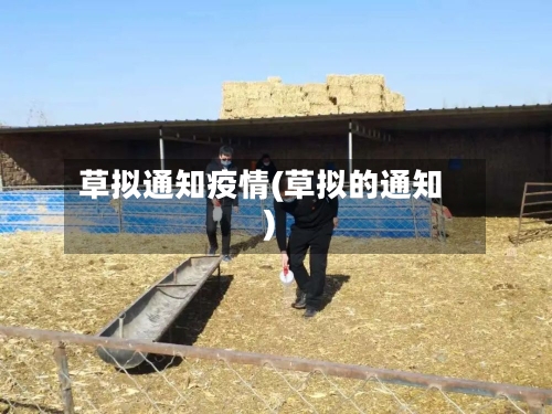 草拟通知疫情(草拟的通知)-第1张图片