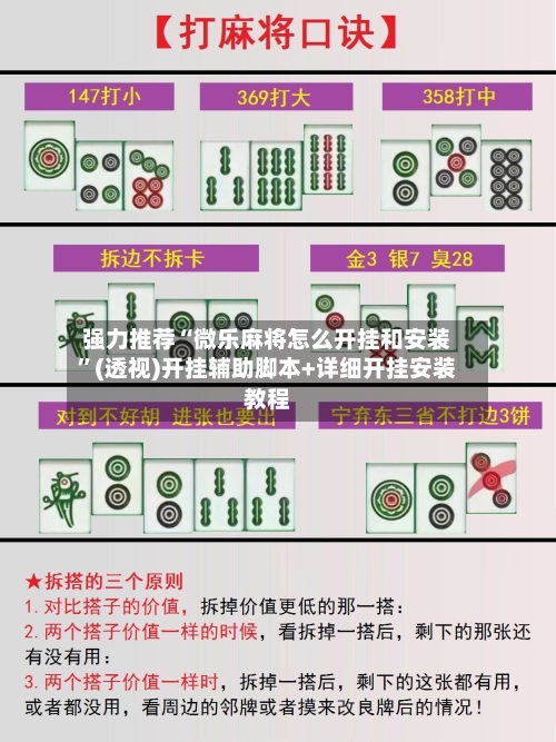 强力推荐“微乐麻将怎么开挂和安装	”(透视)开挂辅助脚本+详细开挂安装教程-第2张图片