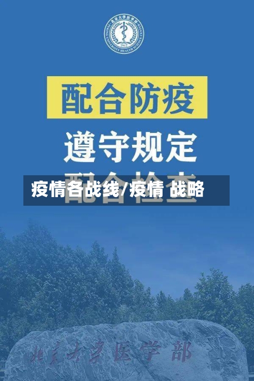 疫情各战线/疫情 战略-第1张图片