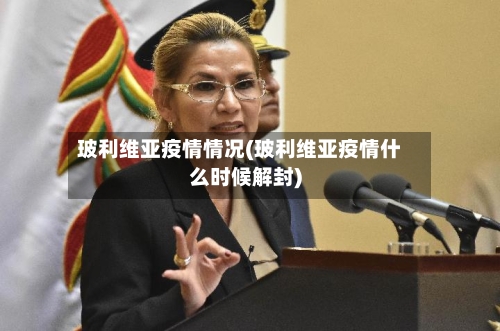 玻利维亚疫情情况(玻利维亚疫情什么时候解封)-第3张图片