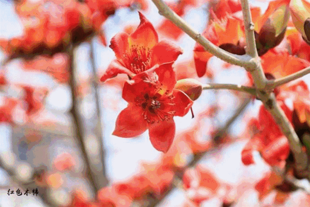 福州疫情迟/福州疫情实时动态查询-第2张图片