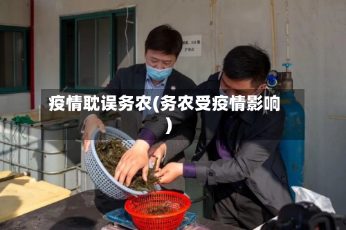 疫情耽误务农(务农受疫情影响)-第1张图片