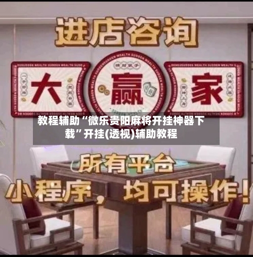 教程辅助“微乐贵阳麻将开挂神器下载	”开挂(透视)辅助教程-第2张图片