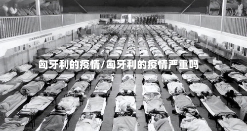 匈牙利的疫情/匈牙利的疫情严重吗-第1张图片