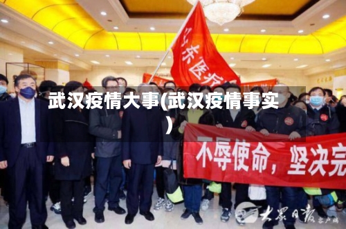 武汉疫情大事(武汉疫情事实)-第3张图片
