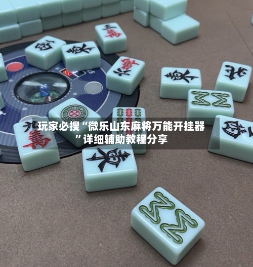 玩家必搜“微乐山东麻将万能开挂器”详细辅助教程分享-第2张图片