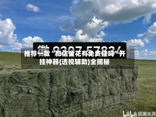 推荐一款“微信金花有免费挂吗	”开挂神器{透视辅助}全揭秘-第1张图片