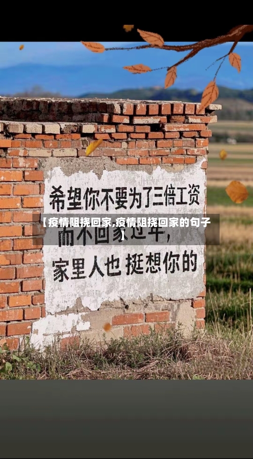 【疫情阻挠回家,疫情阻挠回家的句子】-第1张图片