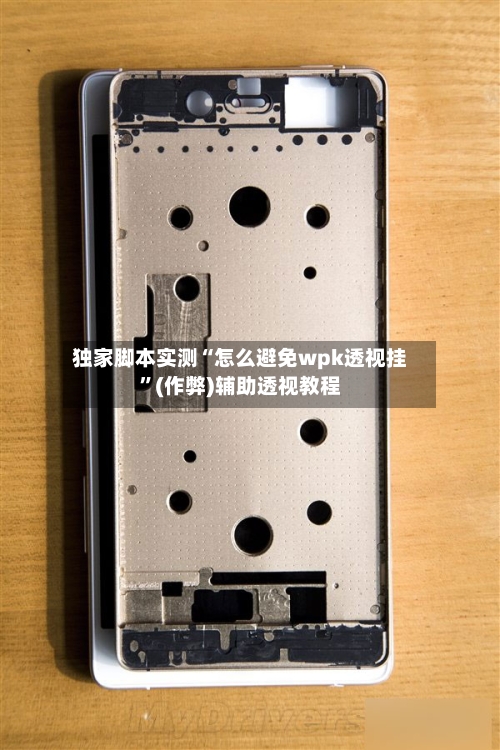 独家脚本实测“怎么避免wpk透视挂”(作弊)辅助透视教程-第1张图片