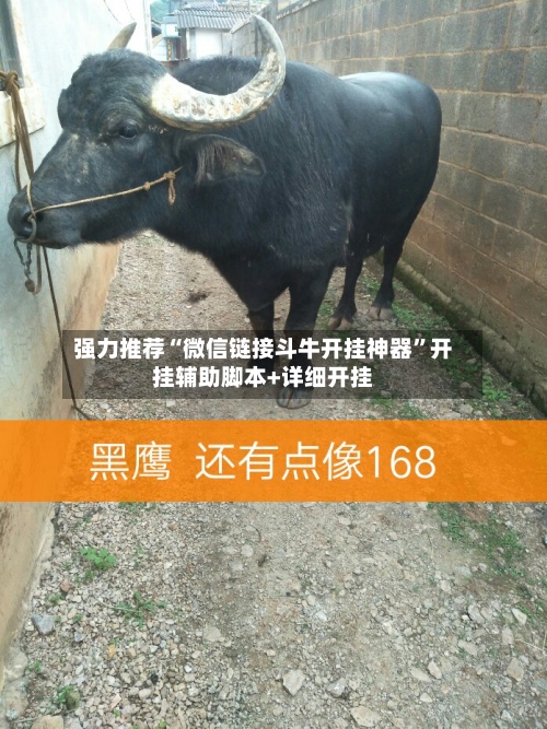 强力推荐“微信链接斗牛开挂神器	”开挂辅助脚本+详细开挂-第1张图片