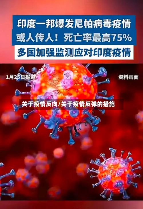 关于疫情反向/关于疫情反弹的措施-第3张图片