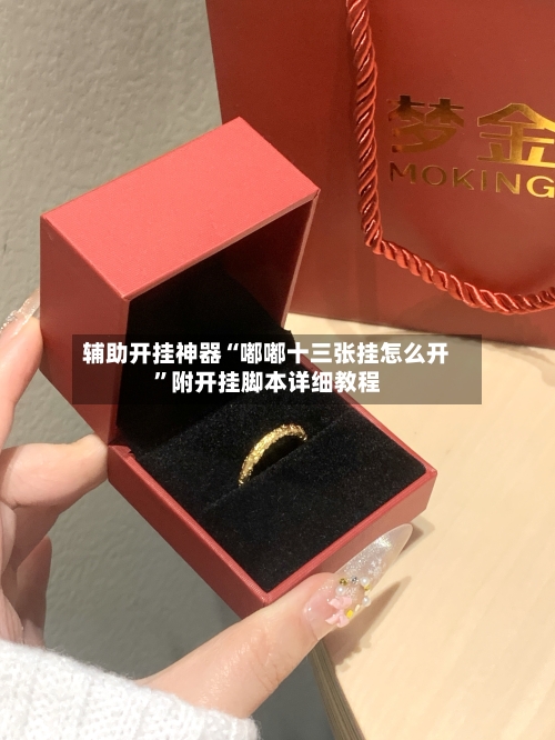 辅助开挂神器“嘟嘟十三张挂怎么开”附开挂脚本详细教程-第3张图片