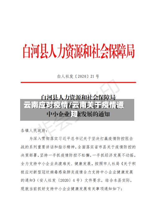 云南应对疫情/云南关于疫情通知-第1张图片