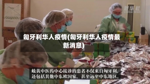 匈牙利华人疫情(匈牙利华人疫情最新消息)-第2张图片